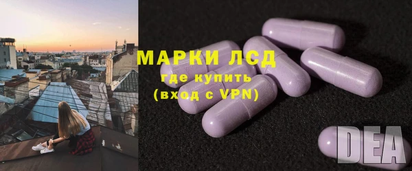 гашик Вяземский