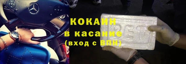 гашик Вяземский