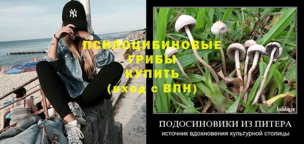 СК Вязники