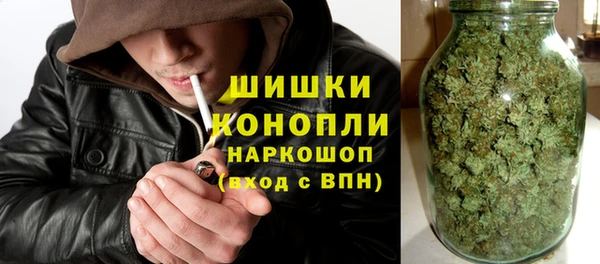 гашик Вяземский