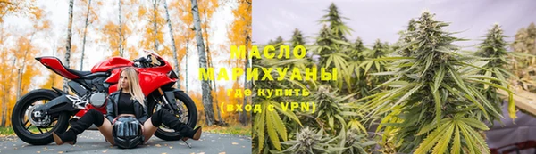 гашик Туринск