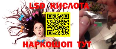 spice Берёзовский