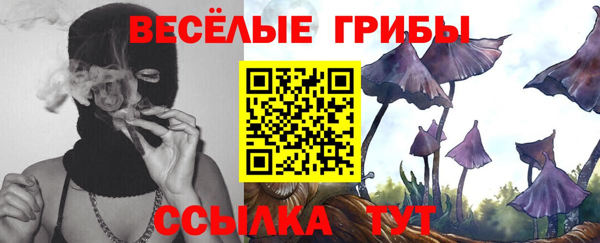 Бугуруслан  Псилоцибиновые грибы Cubensis  Вход с VPN 