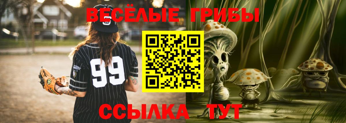 Псилоцибиновые грибы Psilocybe  Галлюциногенные грибы GOLDEN TEACHER  Бугуруслан 